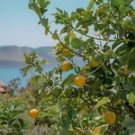 Mandalina, Cukurbag Peninsula-kas Villa Kas