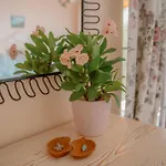 Villa Mandalina, Cukurbag Peninsula-kas Kas