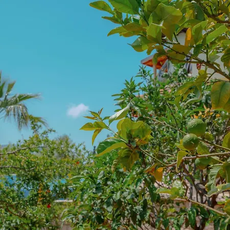 Mandalina, Cukurbag Peninsula-kas Villa