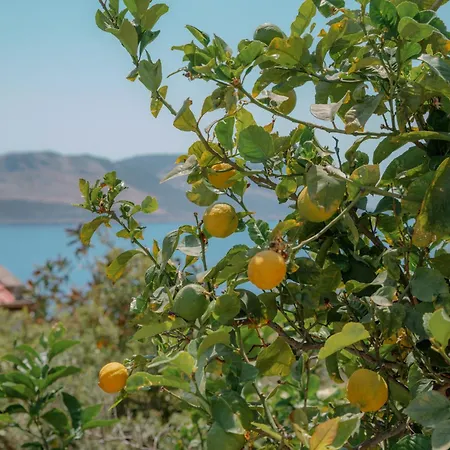 Mandalina, Cukurbag Peninsula-kas וילה קס