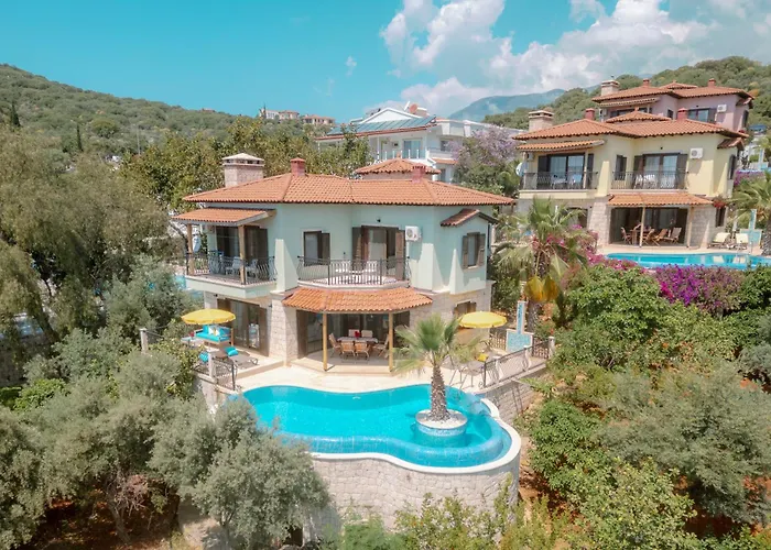 Βίλα Mandalina Κας