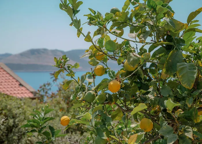 Mandalina Villa Kaş
